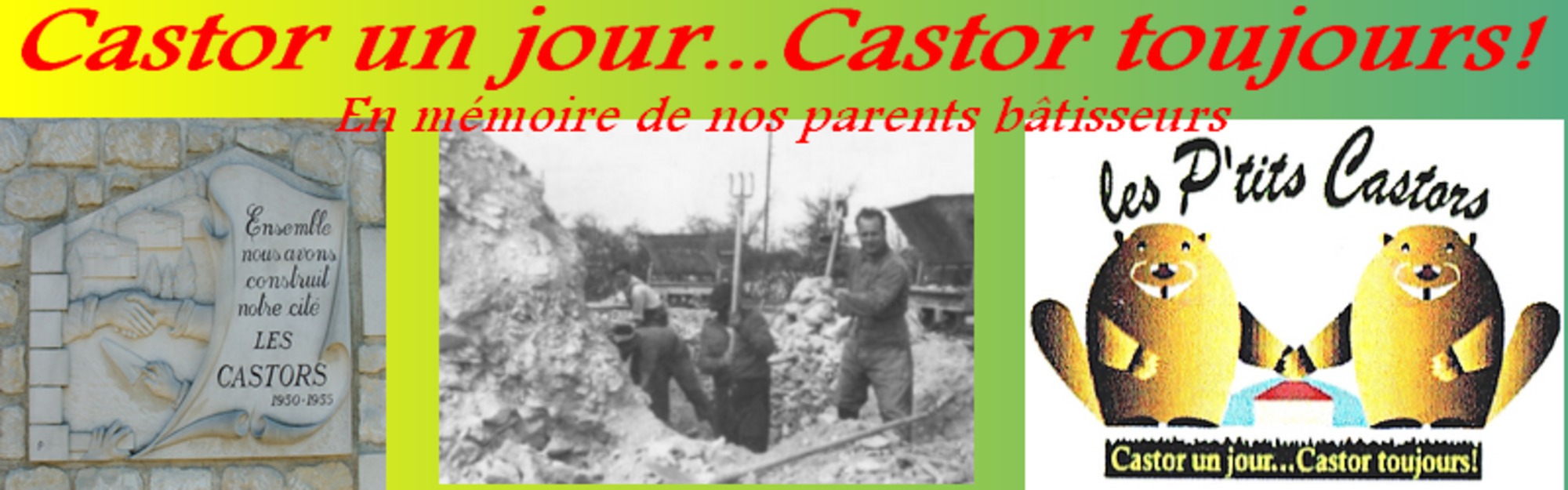 Les P'tits Castors