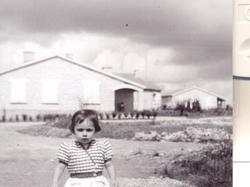 Construction de la cité des Castors